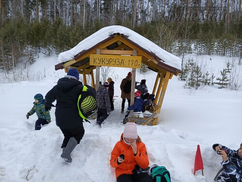 IMG_20260208_111716_180